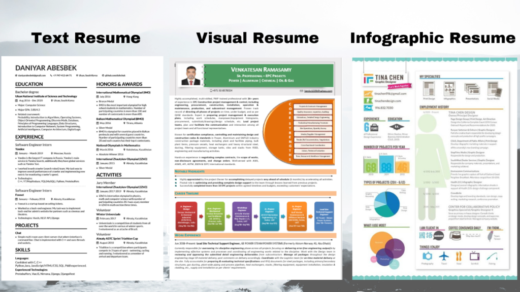 different-types-of-resumes-standard-visual-and-infographic